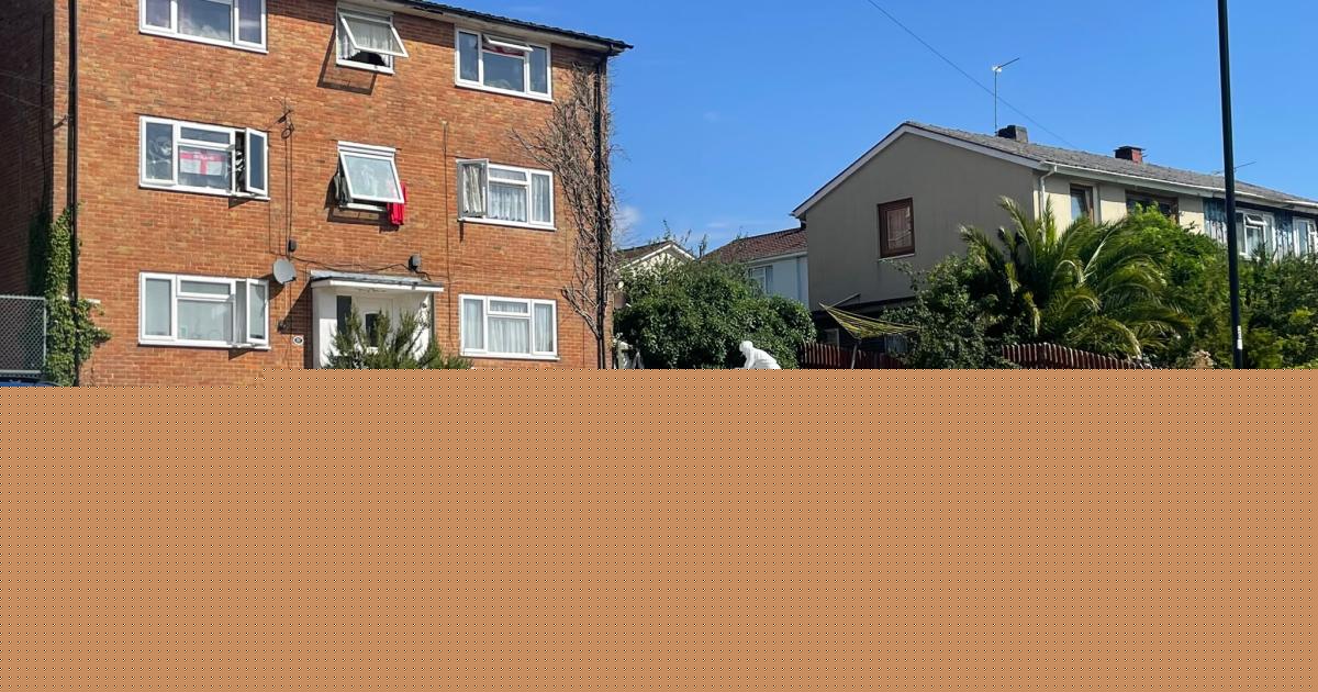 Woman, 23, charged with murder of man after alleged attack at block of flats