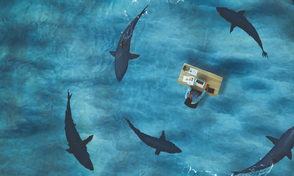 Shark Trades Stops Attempted Insider Disclosure and Protects Sensitive Client Data