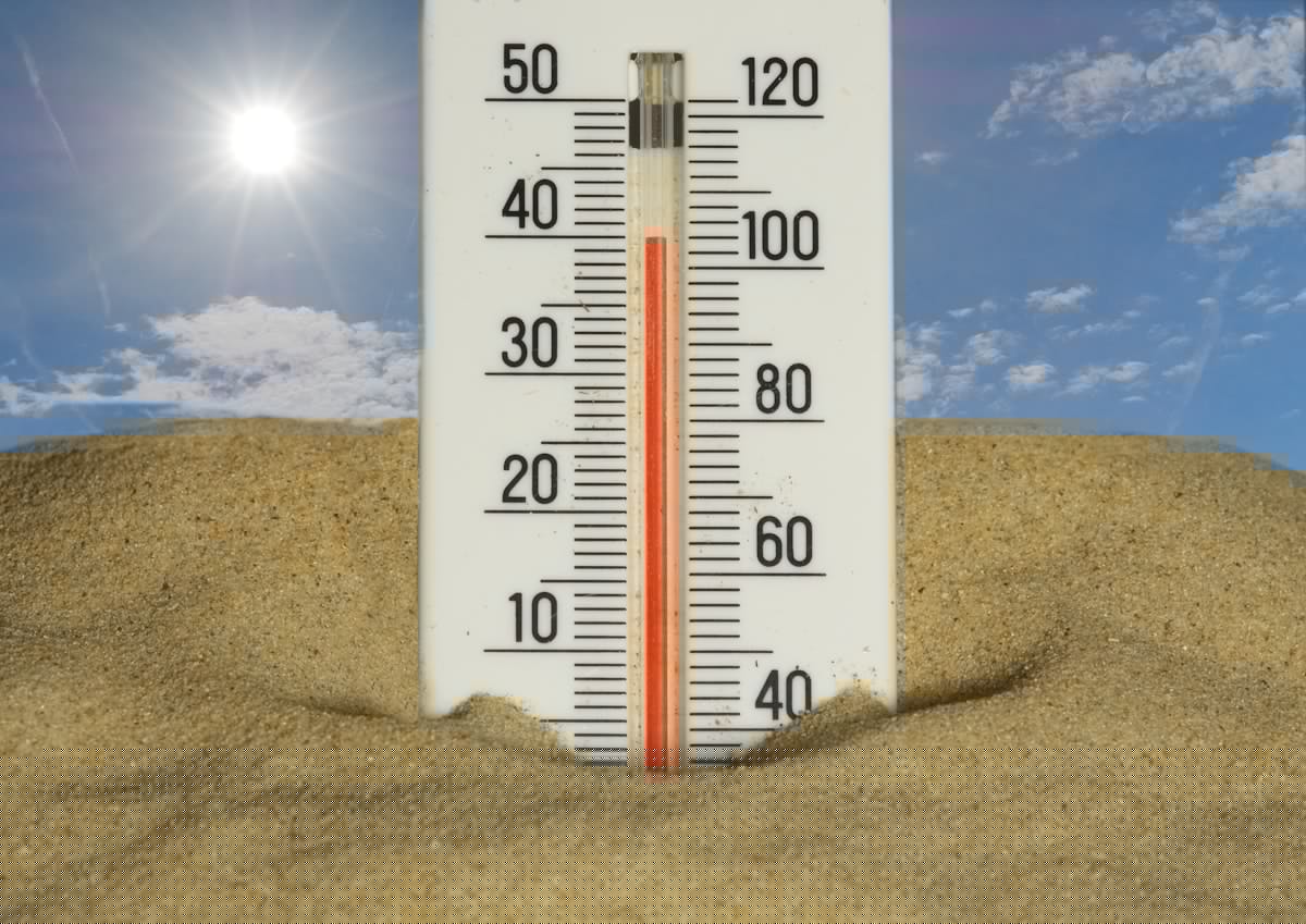 Dog Days Of Summer Arrive In Oklahoma