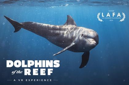 Immotion celebrates LAFA Best of VR award for Dolphins of the Reef