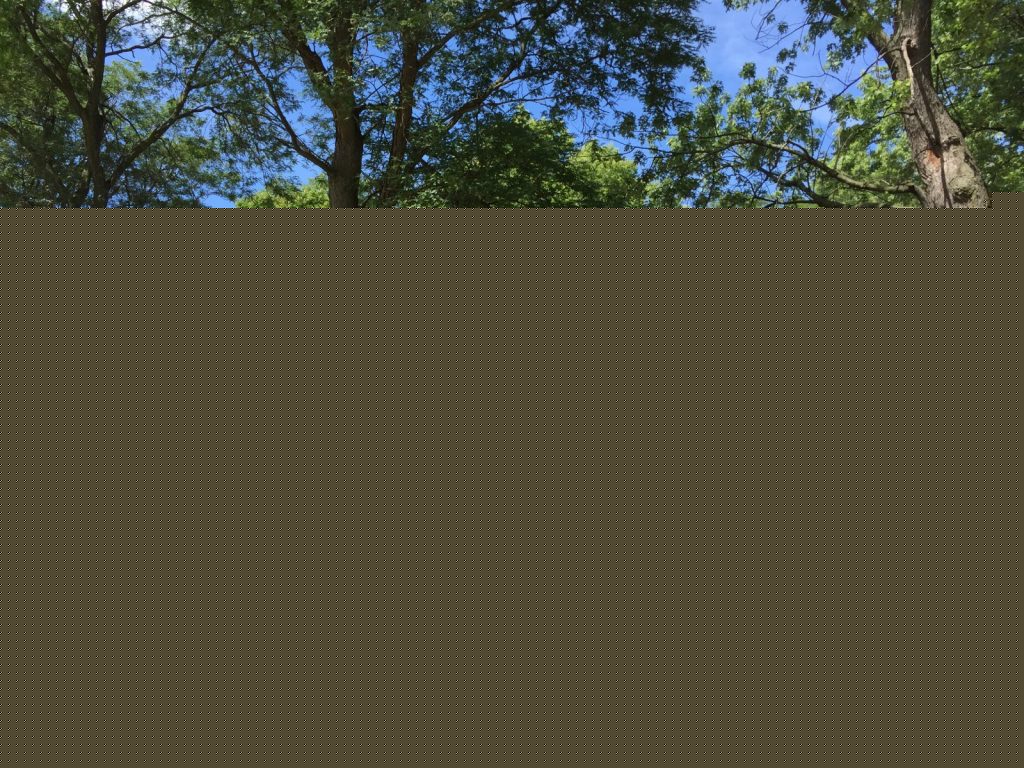 MKE County: Parks Foundation Announces $10 Million Strategic Plan