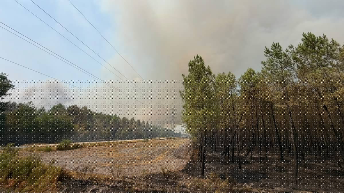 ENTRETIEN. Incendies en Gironde : "Je pars au travail avec mes valises, pour être prête à évacuer, après avoir mis ma fille à l’abri du feu dans le Gers"
