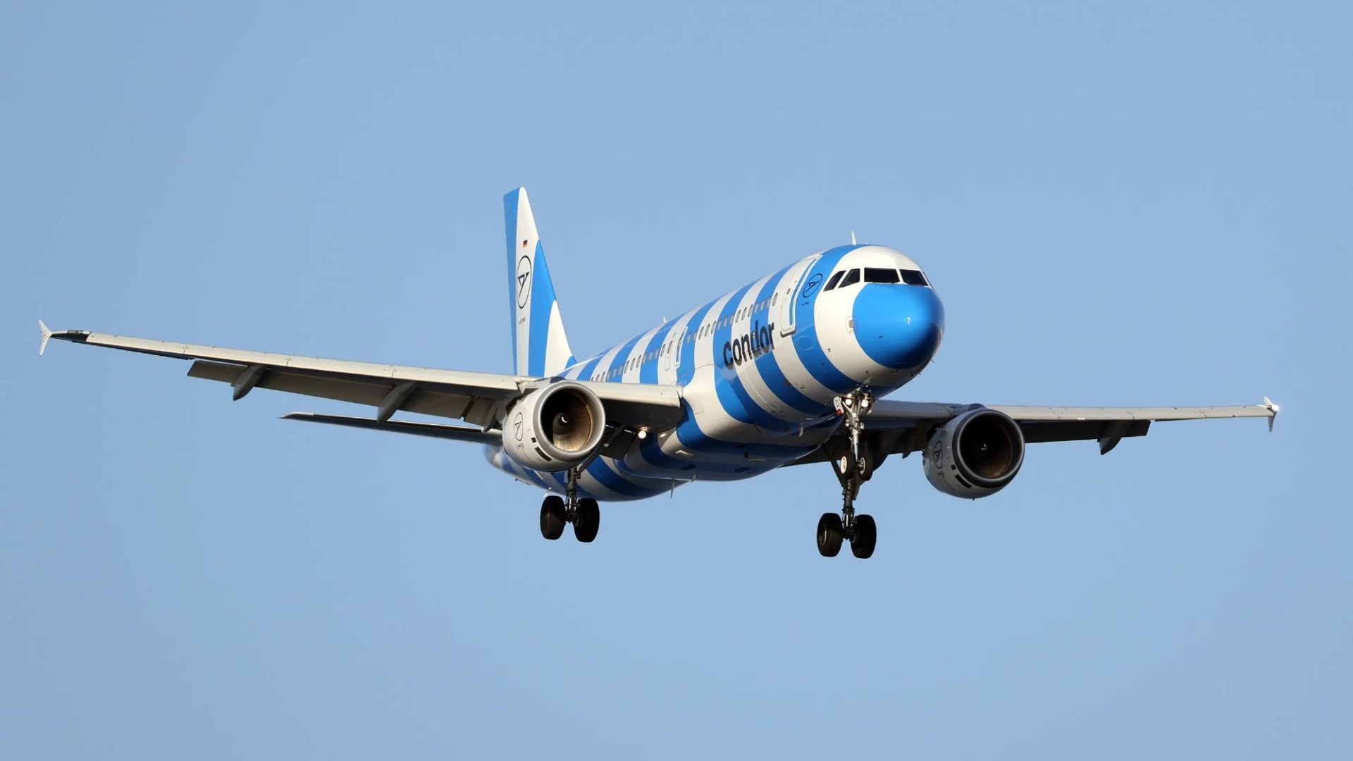 Budget airline forced to run ‘rescue flights’ after rival’s bankruptcy leaves people ‘stranded both sides of Atlantic’