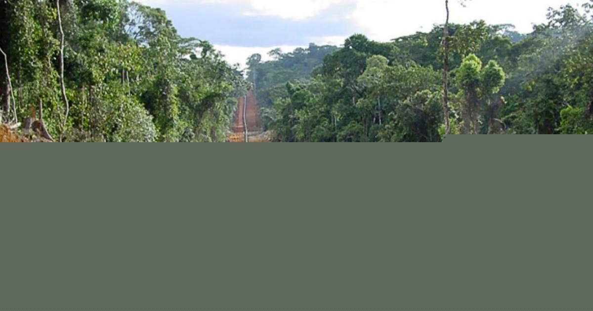 China-backed projects in Africa targeted by environmental groups