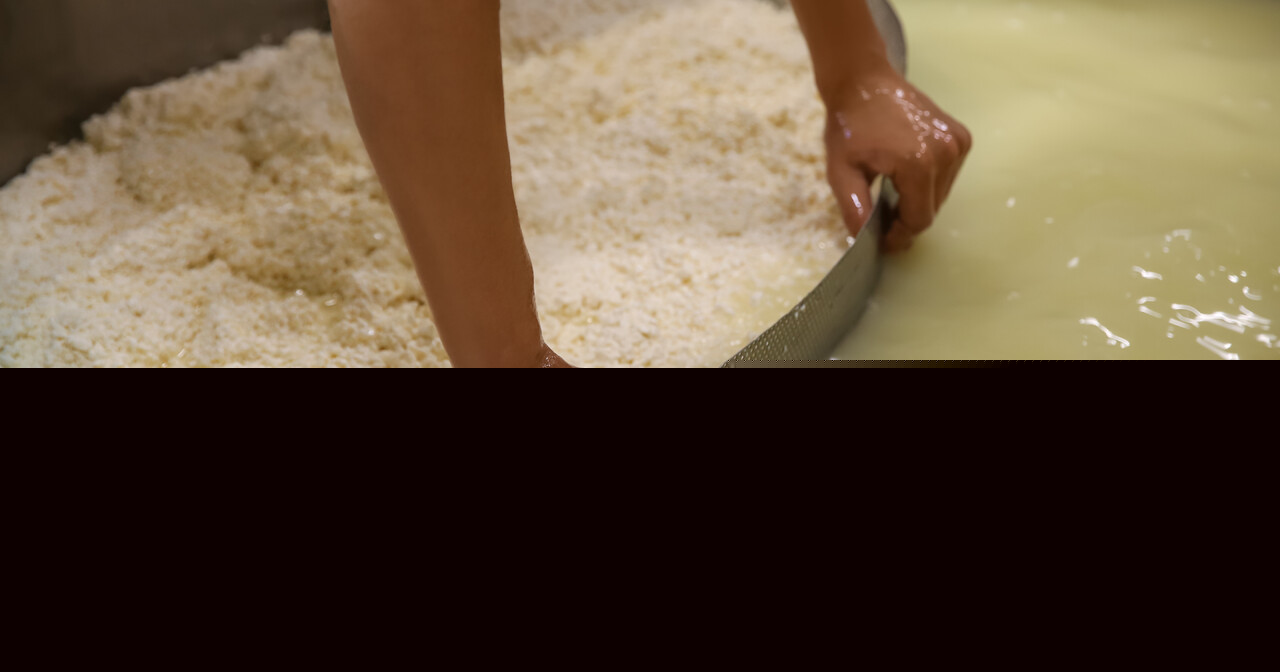Scottish scientists turn cheese byproduct into fuel