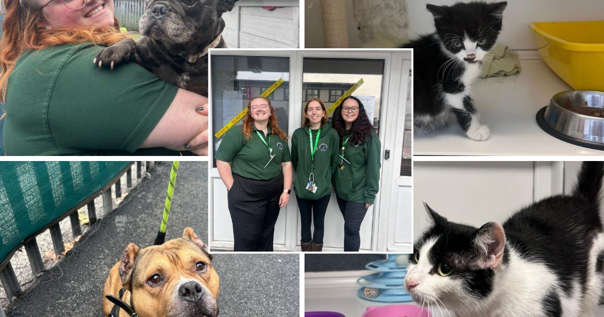 Thousands of pounds raised within just 24 hours after heartbreaking appeal
