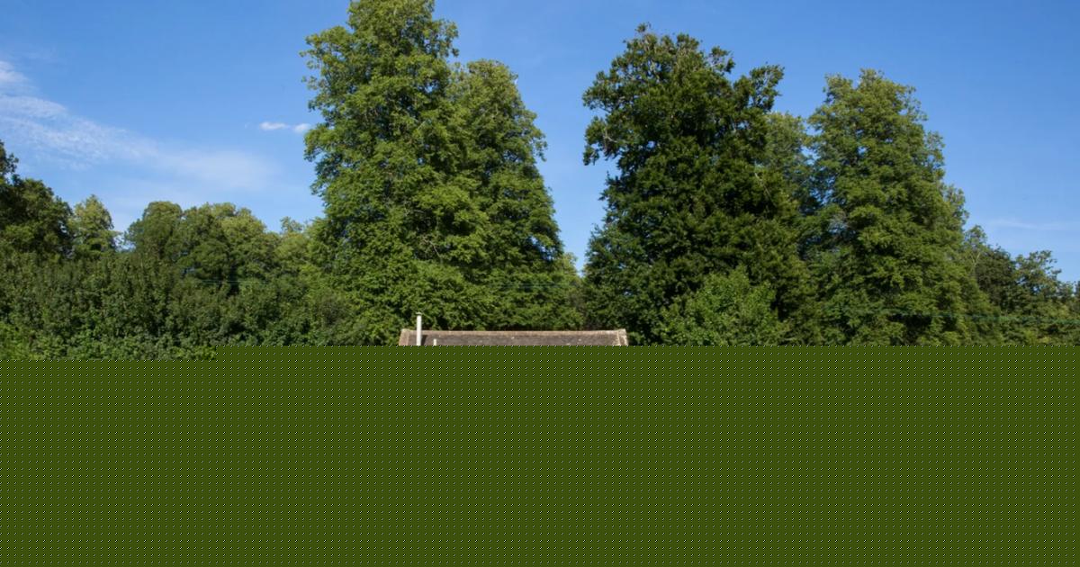 Tiny Cotswolds lodge designed by Christopher Howe up for sale at £1m