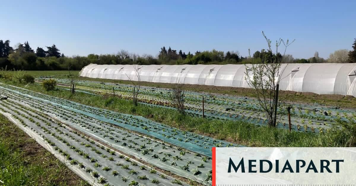 La région Paca s’attaque frontalement à l’agriculture paysanne, au profit de la FNSEA