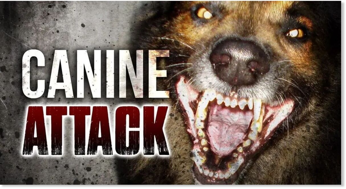 Baby mauled to death by dog in Tar Heel, North Carolina