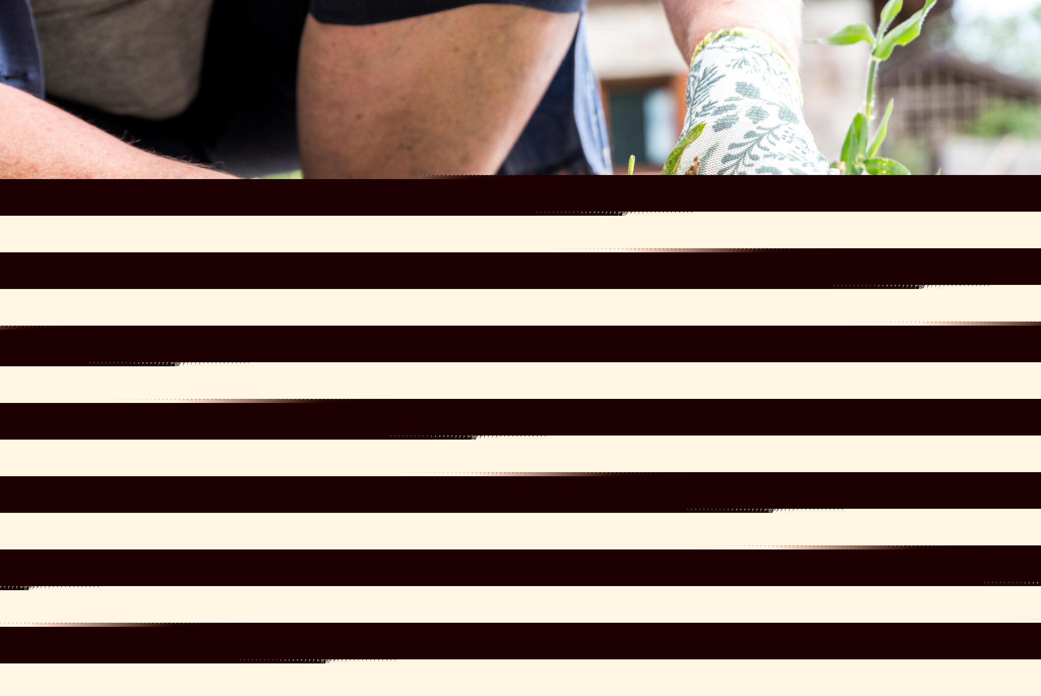 Gardening is a dose of reality