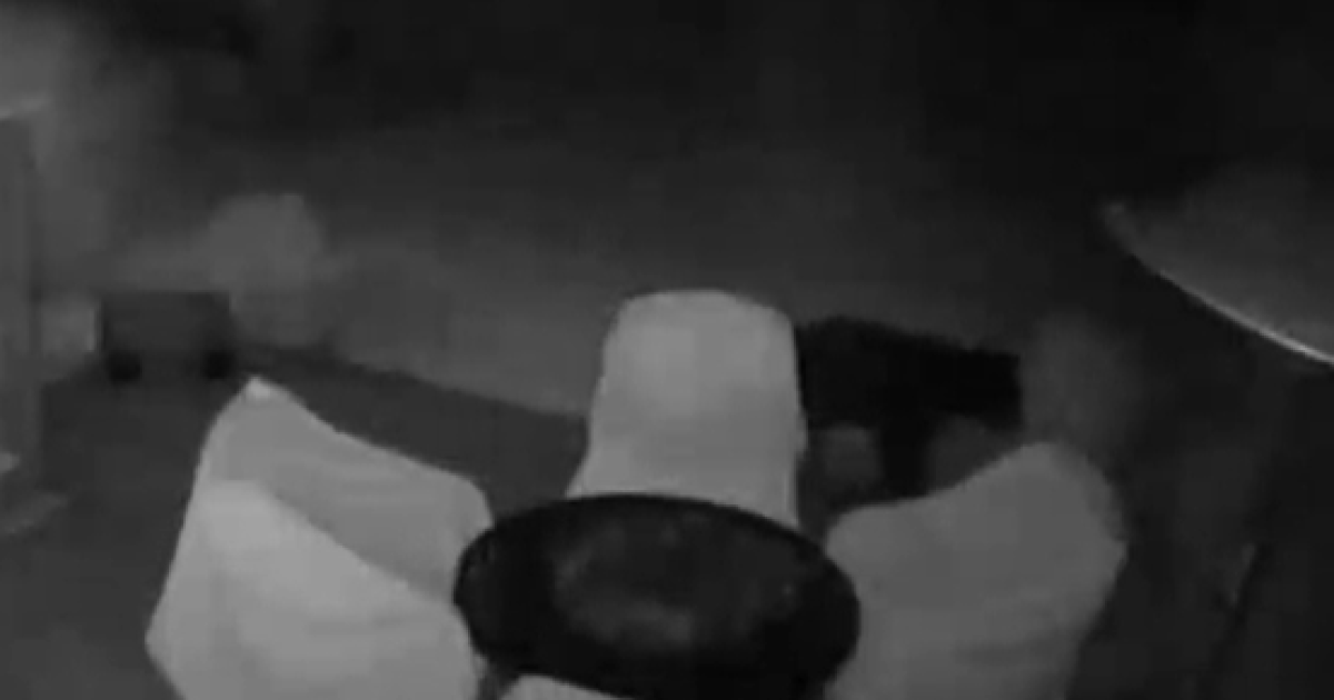 Bear spotted on security camera in Fayette County neighborhood, wildlife official says sightings on the rise