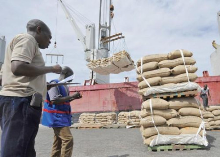 Cameroon’s Cocoa Export Earnings Plunge 63% After Record Price Boom