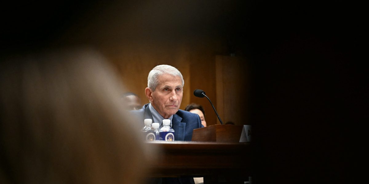 Fauci’s Diary Isn’t the Key to Why Covid Ravaged the U.S. — Our Broken Healthcare System Is