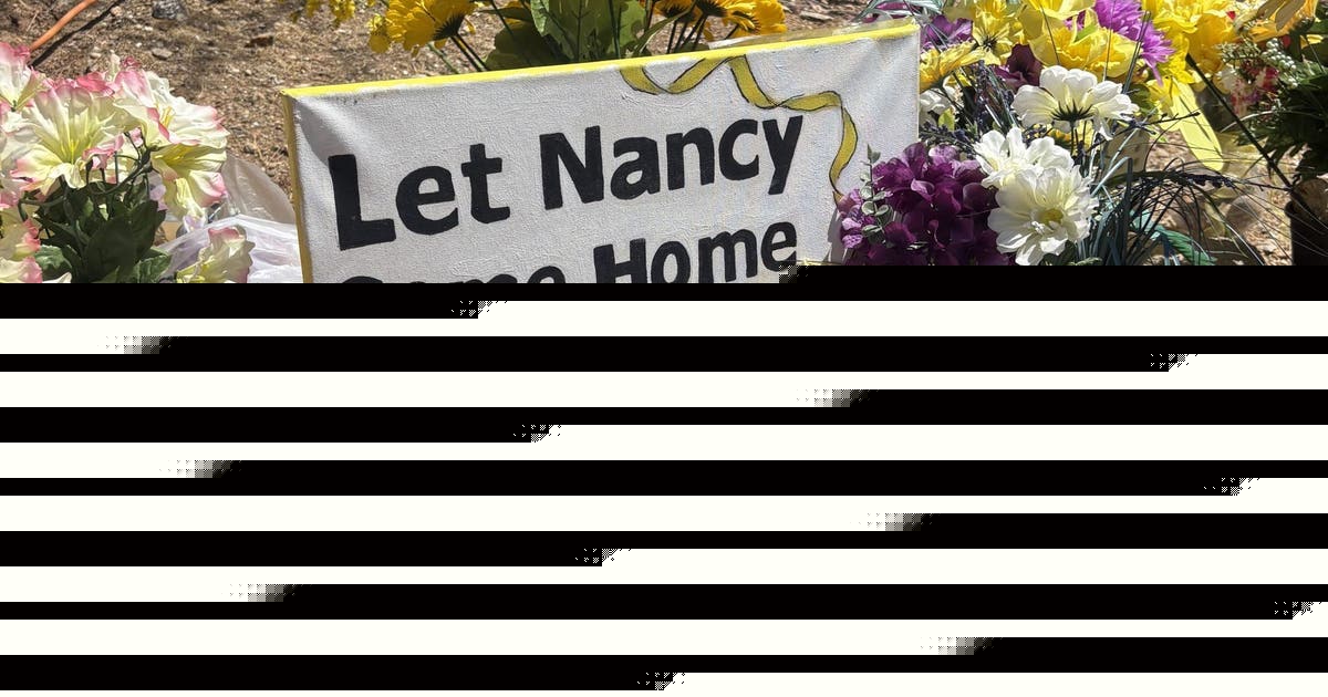 Nancy Guthrie: Savannah issues new plea in search of mother 6 months after disappearance
