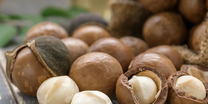 Macadamia Harvesting and Trade to Begin in February, Ministry Says