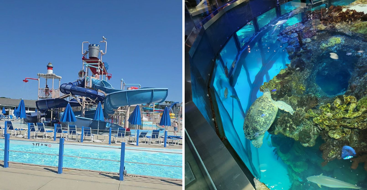 10 Kid-Friendly Attractions In Massachusetts