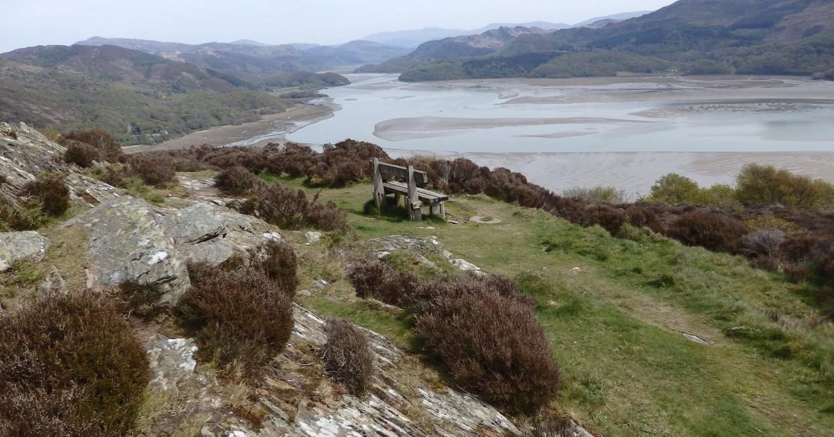 This week's best South Wales Guardian Camera Club pictures