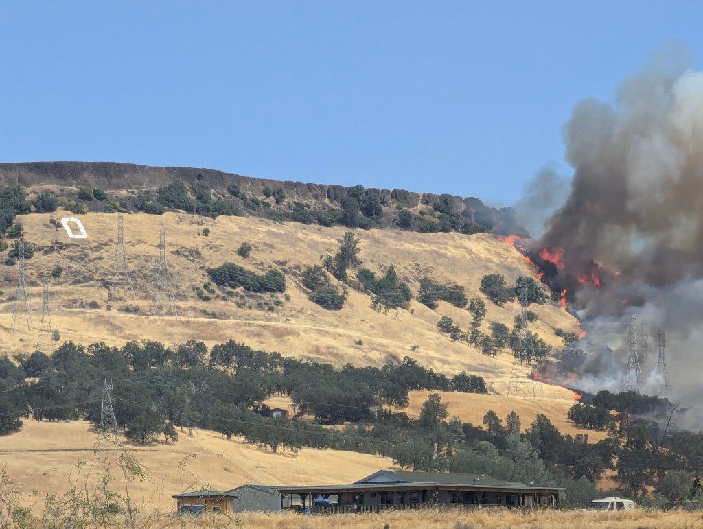 Thomson Fire arsonist receives 20 year sentence