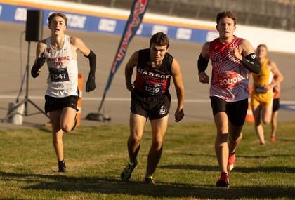Top 20 Ann Arbor-area boys cross country times as of Oct. 2