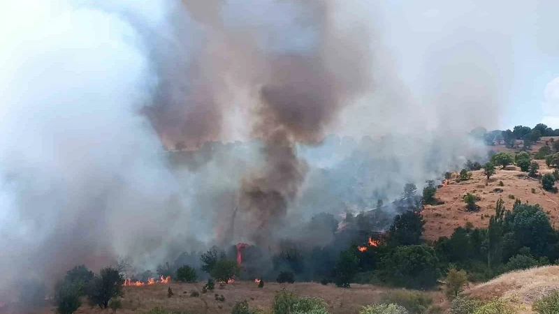 Malatya’da orman yangını söndürüldü