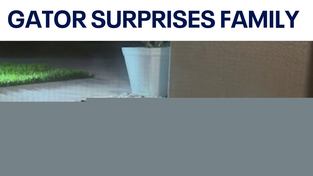 Alligator surprises Palm Bay family on front porch