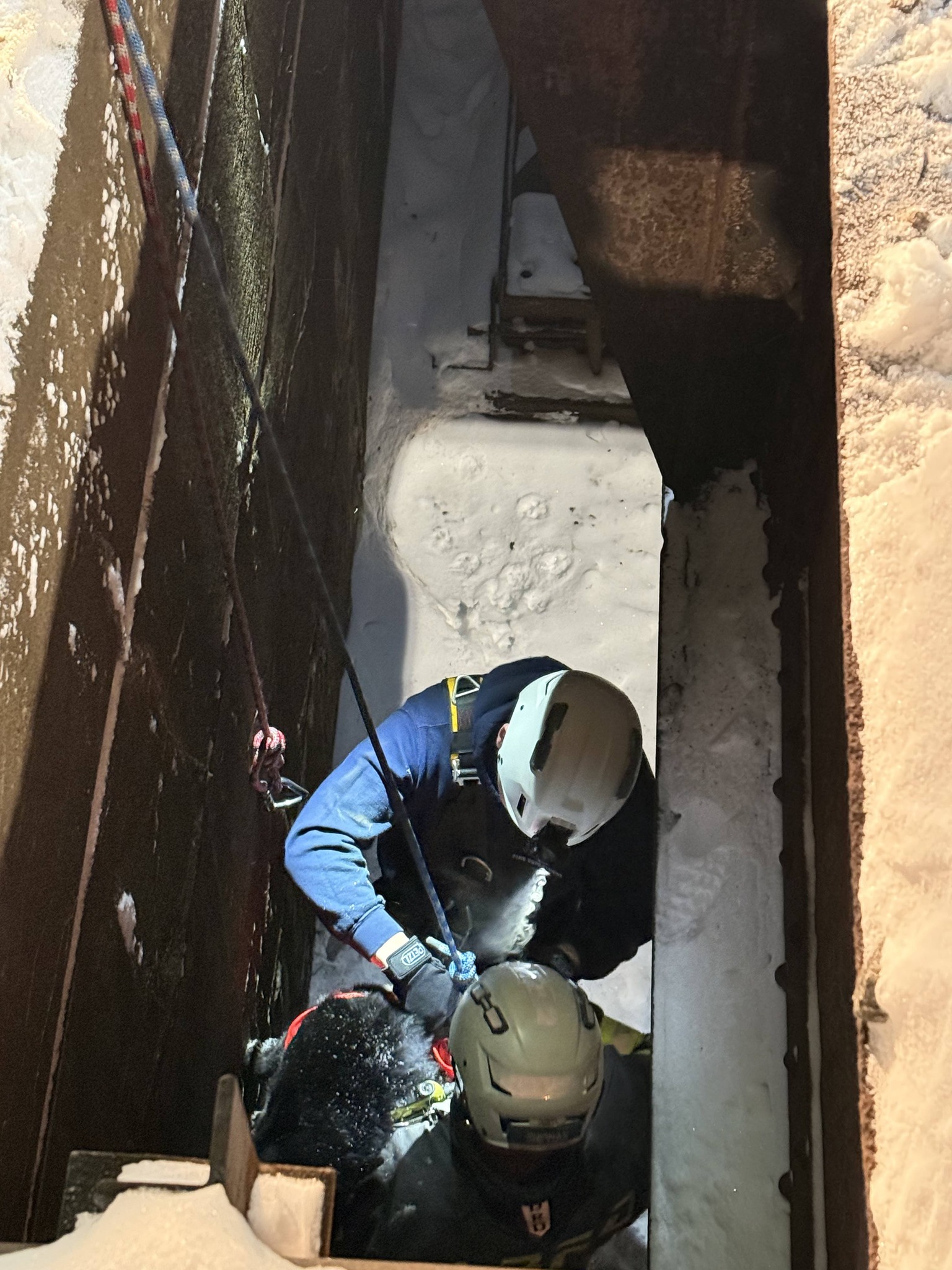 Dog in Beaver County rescued from a local railroad structure by multiple agencies