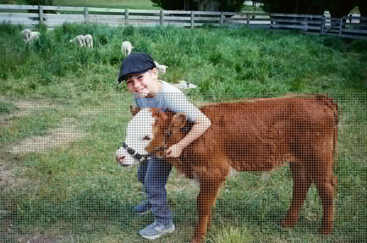 Snuggle a Rare, Mini Highland Cow at the Herkimer County Fair