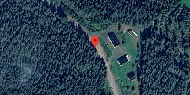 Vilt i olycka på väg 871 – stopp i ett körfält