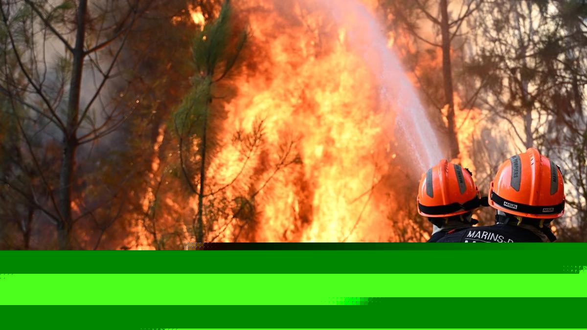 French wildfire evacuees allowed to return home