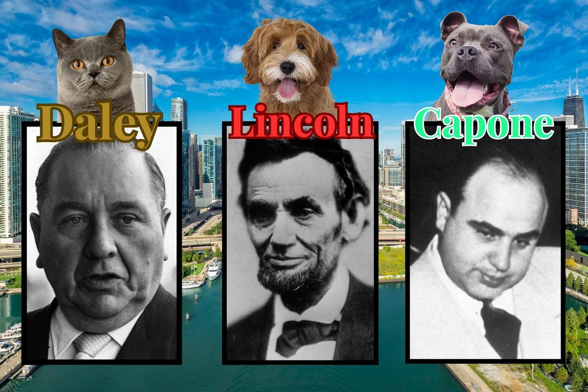 From Lincoln to Lombard: Illinois Names Perfect For Pets