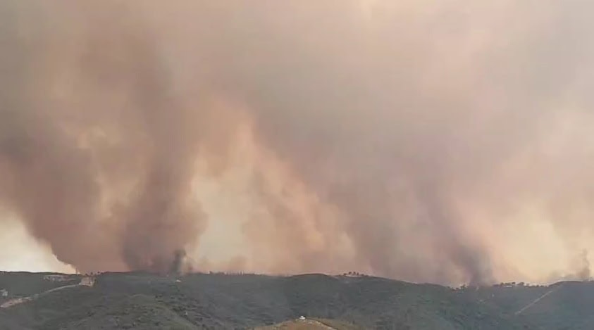 El fuego se frena con participación, especies nativas, dotación óptima del INFOCA y una apuesta por un mundo rural vivo