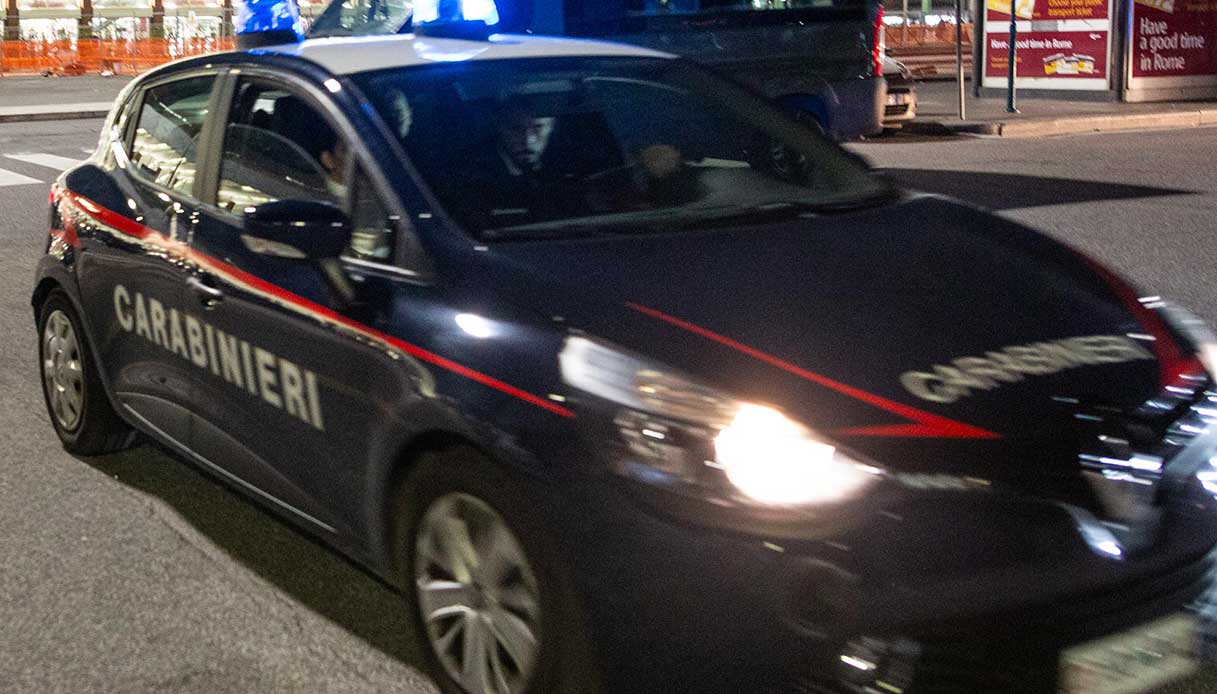 Scoperta maxi piantagione alle pendici del Monte Armeno: i Carabinieri sequestrano 1.100 piante di marijuana