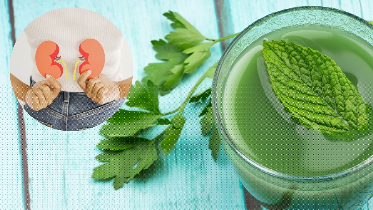 Bebida de perejil y menta para los riñones: propiedades, beneficios y cómo prepararla