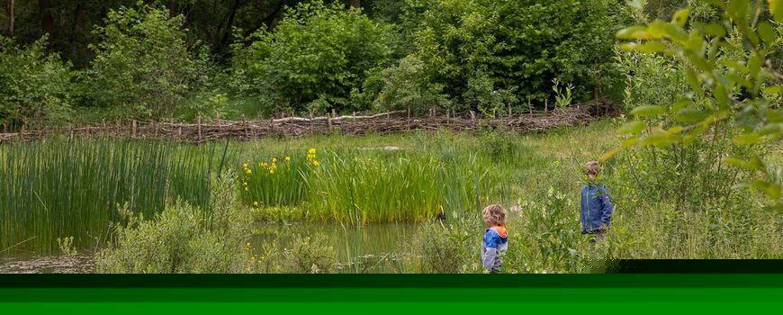 Provincie Gelderland stelt € 8,5 miljoen beschikbaar voor biodiversiteit en landschap
