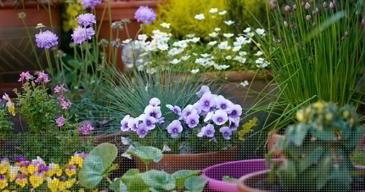 Guide to attracting wildlife into small gardens