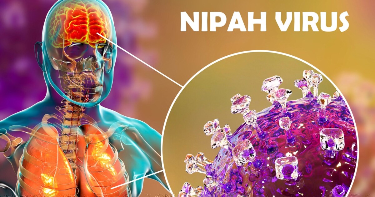 Alles zum Erreger - Warum Nipah-Virus für Top-Virologen „Alptraum“ ist