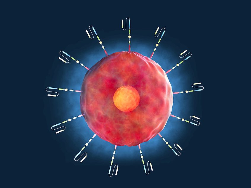 To viral or not to viral: In vivo CAR T debates delivery tech