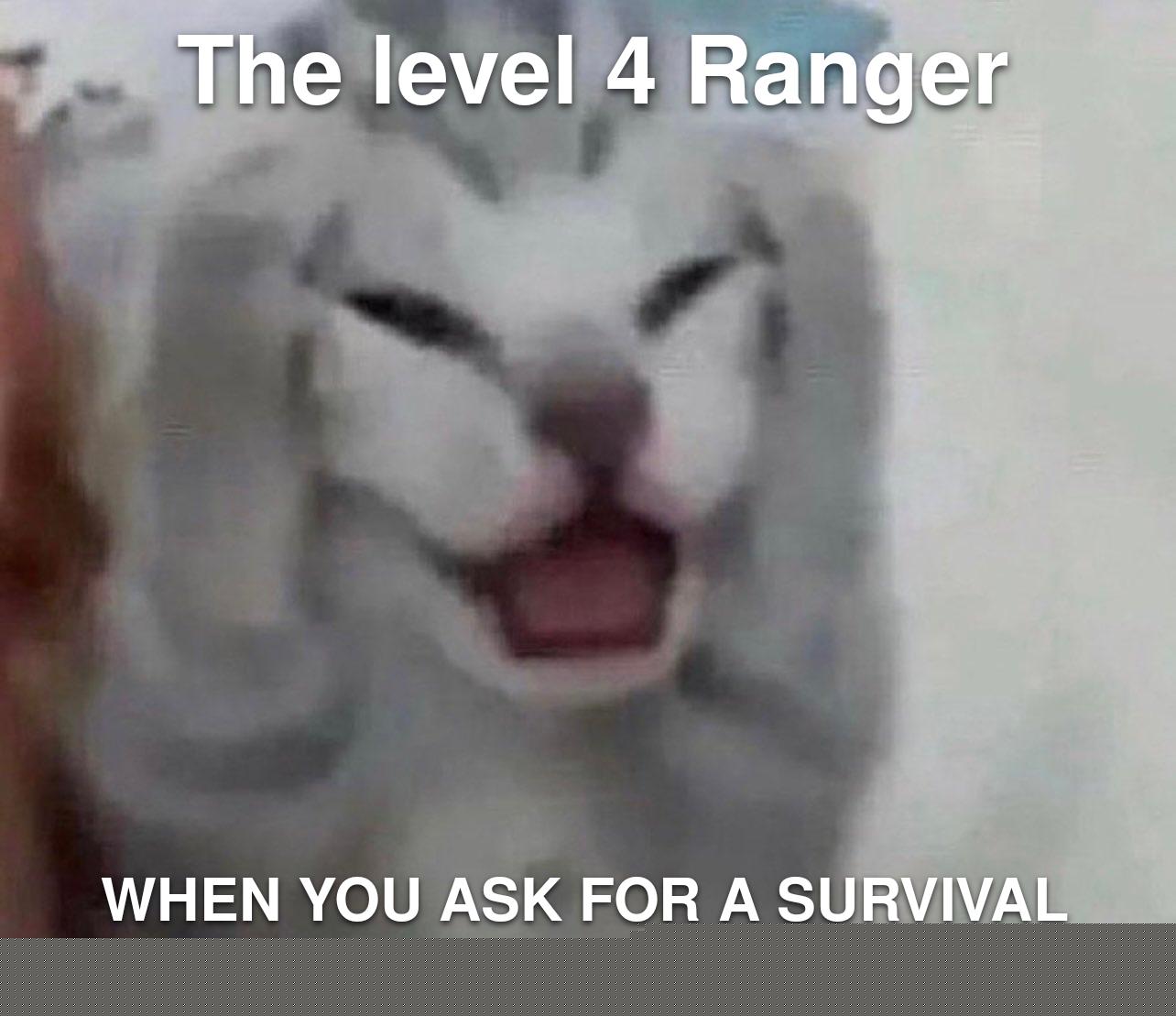Dungeons and Dragons - You'd think it wasn't written in the rulebook from how they reacted | /r/dndmemes