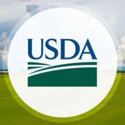 USDA Updates Wetland Determination Guidance for Producers