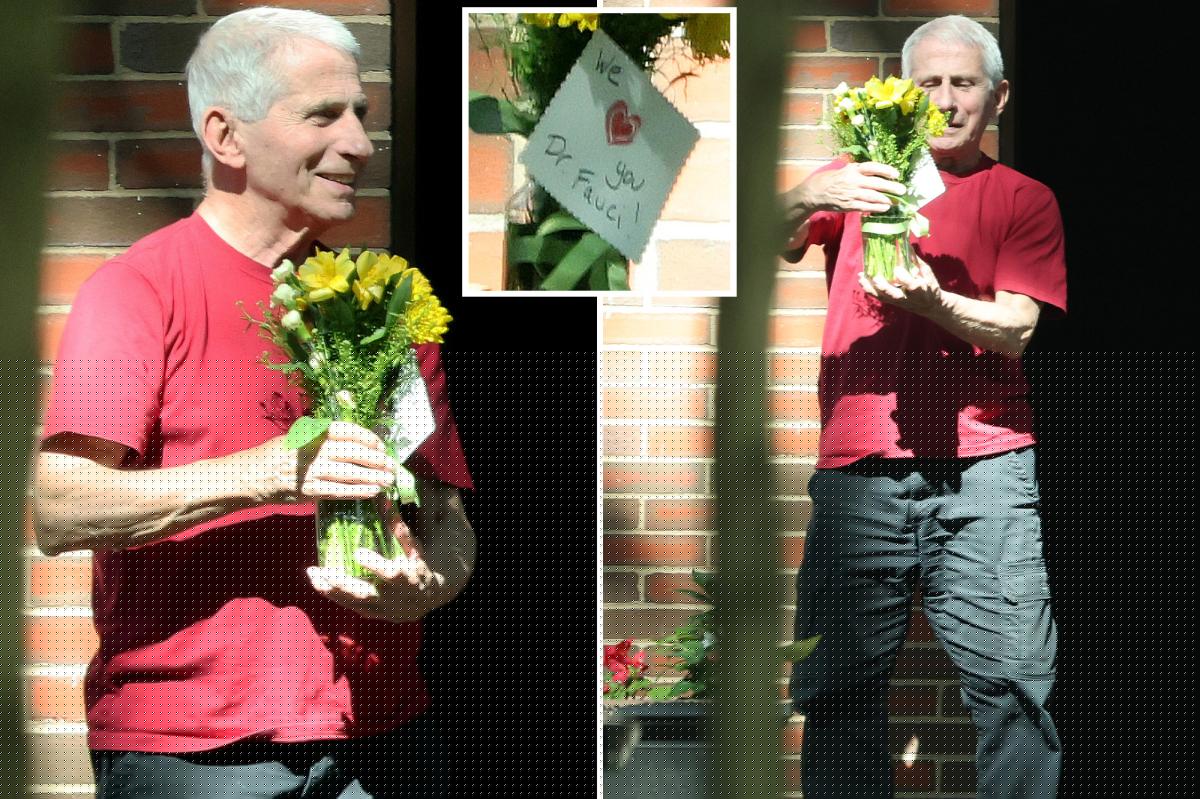 Limelight-loving Fauci all smiles as he’s surprised by flowers left by adoring fan — after getting savaged by Senate Republicans