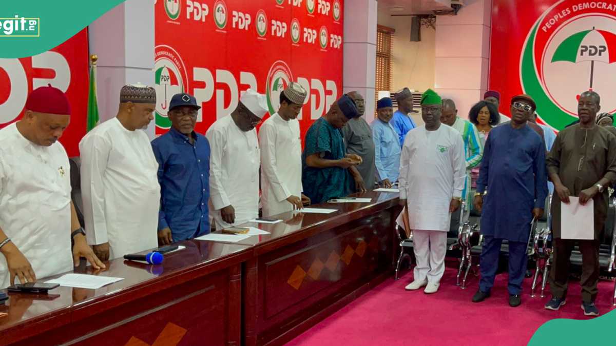 2027 election: Powerful PDP zone appoints campaign DG, others, see full list and details