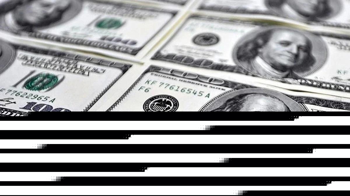 Reel efektif döviz kuru endeksi temmuzda 105,96 oldu
