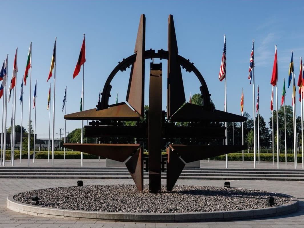What the NATO intern spy charges say about public service security screening