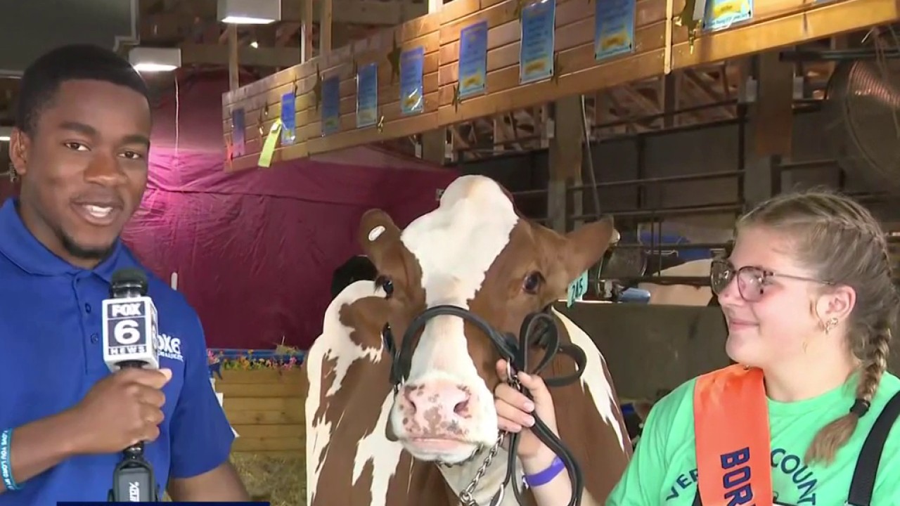 Exploring Dairy Lane at the Wisconsin State Fair