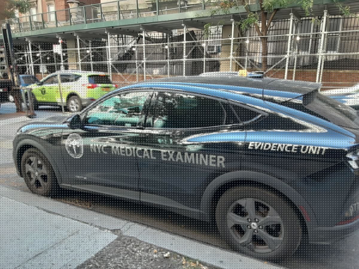 Juego mortal: menor latino baleado visitando a amigo en hogar en Nueva York