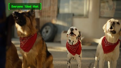 Everyone Disliked / Liked That - Everyone Liked That (Dogmeat)