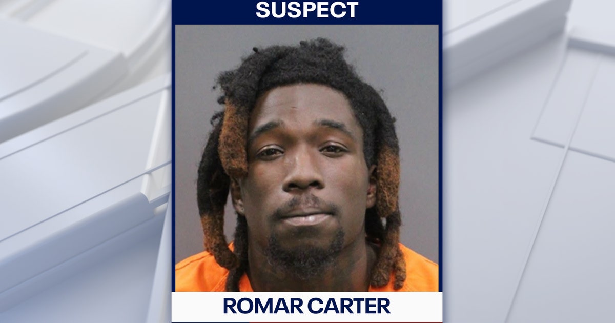 Hillsborough man arrested, accused of kicking and hitting dog: Deputies