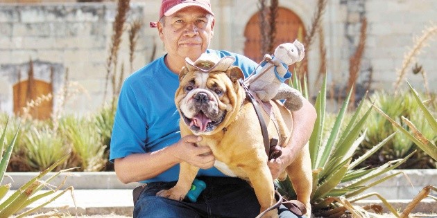 Los perros distinguen entre el miedo y la tristeza en la cara de la gente: estudio