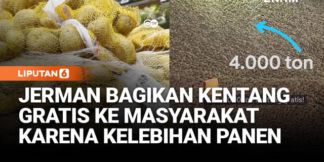 Jerman Bagikan Kentang Gratis ke Masyarakat Karena Kelebihan Panen