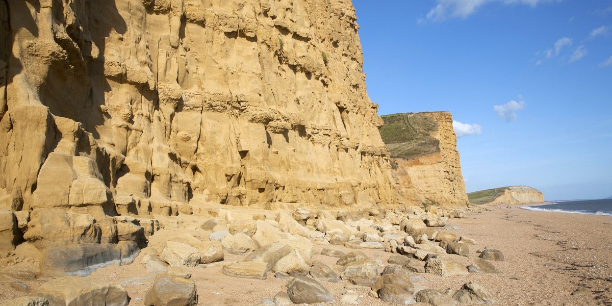 Treasure trove of British natural history sold to Middle East in 'loss to the nation'